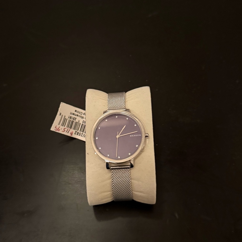 Skagen Silver Mesh Bracelet Watch